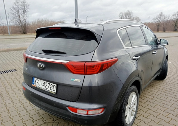 Kia Sportage cena 59500 przebieg: 201000, rok produkcji 2016 z Siedlce małe 37
